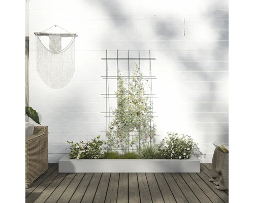 Jardin avec treillis, jardinière plantée et décoration murale