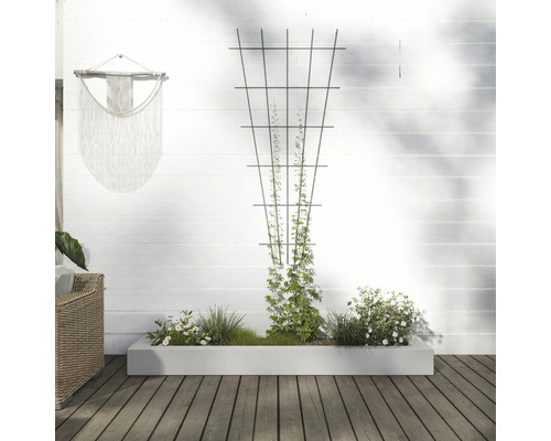 Scène avec jardinière, support d''escalade et décoration sur un mur blanc