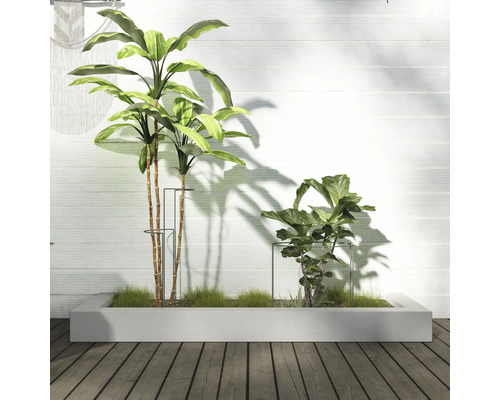 Szene mit Pflanzen in Pflanzkästen im Freien