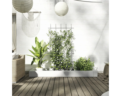 Espace extérieur décoratif avec jardinière, plantes grimpantes, mobilier de salon et éléments décoratifs