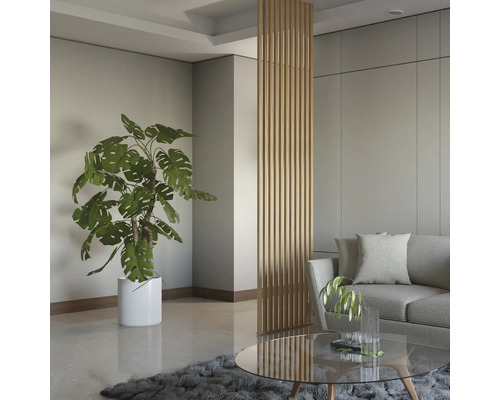 Salon avec plante d''intérieur, canapé, table basse et séparateur de pièce