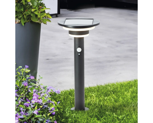 Lampe solaire avec détecteur de mouvement dans le jardin