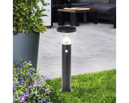Borne solaire noire avec détecteur de mouvement dans le jardin.
