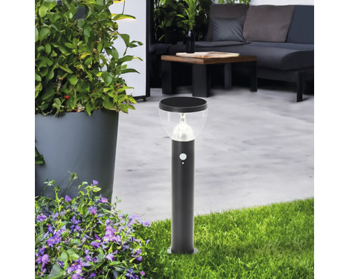 Lampe solaire avec détecteur de mouvement sur pelouse à côté des fleurs