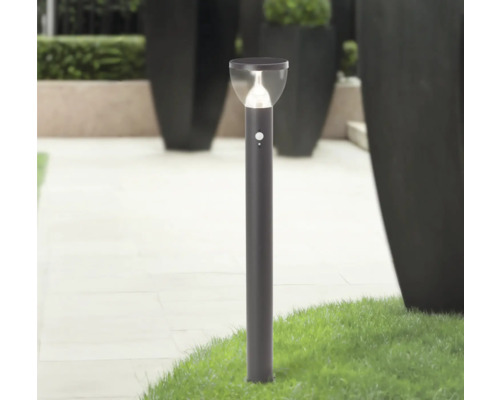 Luminaire de jardin avec détecteur de mouvement sur gazon