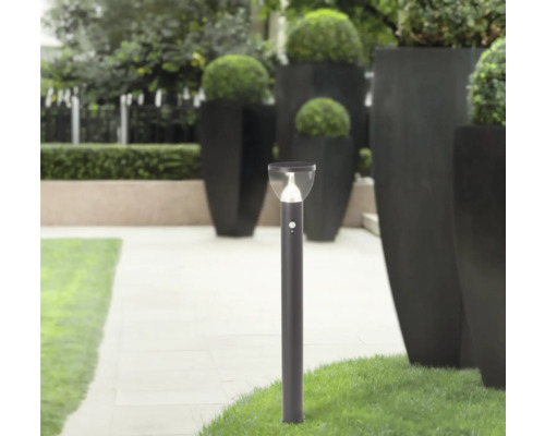 Allée de jardin avec un luminaire de chemin et des bacs à plantes