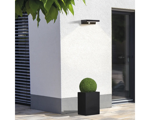 Aussenansicht mit Aussenleuchte und Pflanzgefäss