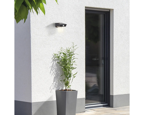 Aussenwand mit montierter Lampe und Topfpflanze