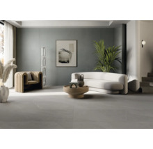 MIRAVA NARVIK Feinsteinzeug Wand- und Bodenfliese silver BxLxS 30x60x0.85 cm