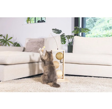 Chat jouant avec un jouet pour chat avec trois balles et une canne à pêche dans un salon.