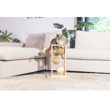 Chat sur un arbre à chat avec canne à pêche jouet dans le salon