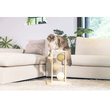 Chat jouant avec un arbre à chat dans le salon