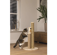 Chat grimpant sur un arbre à chat à plusieurs niveaux recouvert de sisal.