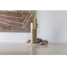 Chat se reposant contre un arbre à chat en sisal.