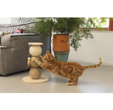 Un chat se fait les griffes sur un arbre à chat avec trois boules en sisal.