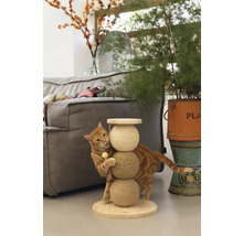 Chat jouant avec un arbre à chat dans le salon.