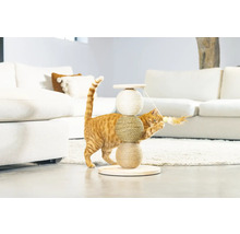 Chat jouant avec un arbre à chat en sisal et en bois dans une pièce lumineuse