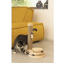 Chat se grattant sur un arbre à chat en sisal et bois