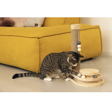 Un chat tigré joue avec un jouet en bois pour chat à côté d''un grattoir dans un salon.