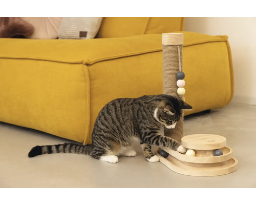 Un chat tigré joue avec un jouet en bois pour chat à côté d''un grattoir dans un salon.