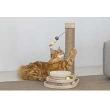 Chat roux jouant avec un arbre à chat et un jouet interactif