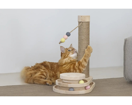Chat roux jouant avec un arbre à chat et un jouet interactif
