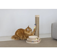 Chat jouant avec un arbre à chat et un jouet