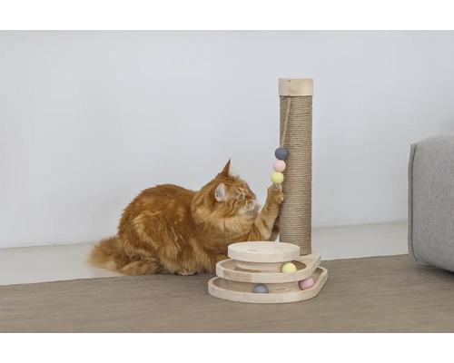 Chat jouant avec un arbre à chat et un jouet