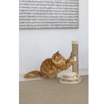 Chat jouant avec un arbre à chat et un jouet