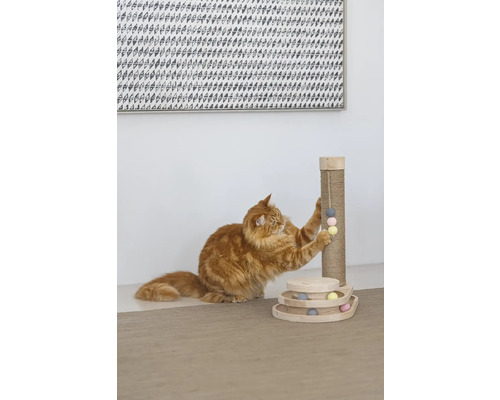 Chat jouant avec un arbre à chat et un jouet