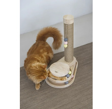Chat jouant avec un arbre à chat et un jeu de balle en bois.