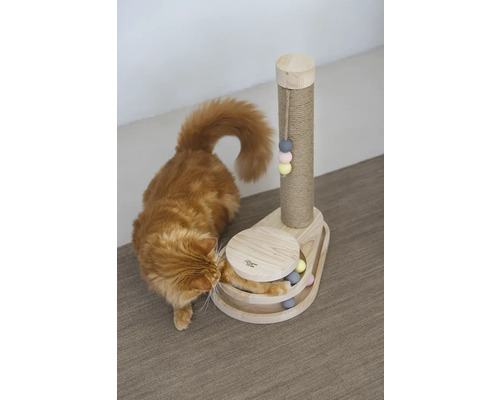 Chat jouant avec un arbre à chat et un jeu de balle en bois.