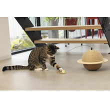 Chat tigré jouant avec un jouet pour chat sur le sol