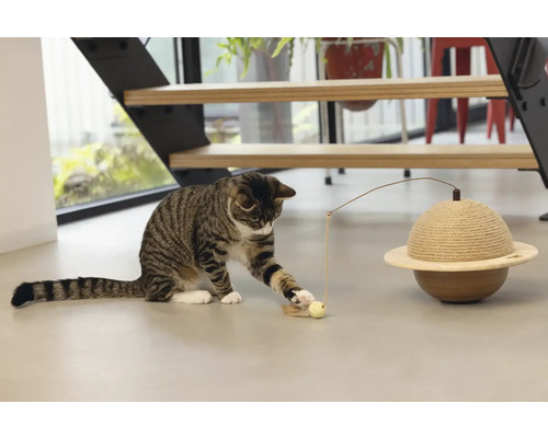 Chat tigré jouant avec un jouet pour chat sur le sol