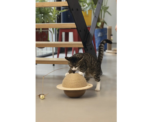 Un chat tigré joue avec un griffoir en forme de planète avec une souris jouet.
