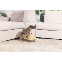 Chat jouant avec un jouet devant un canapé