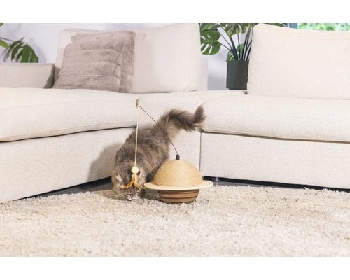 Chat jouant avec un jouet devant un canapé