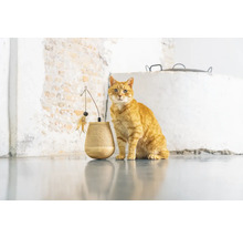 Chat roux assis à côté d''un arbre à chat avec jouet