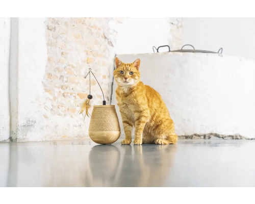 Chat roux assis à côté d''un arbre à chat avec jouet