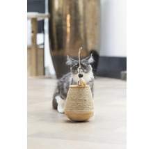 Un chat Maine Coon joue avec un arbre à chat avec un jouet.