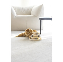 Chat couché sur le tapis à côté d''un jouet d''empilage de boules en bois