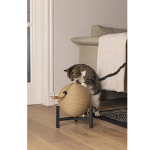 Chat griffant une boule à griffer sur un support à l''intérieur.