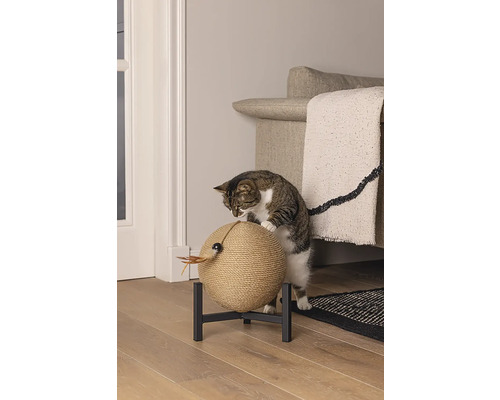 Chat griffant une boule à griffer sur un support à l''intérieur.