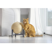 Chat grattant une balle à gratter sur un support.