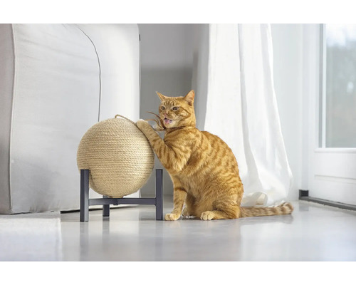 Chat grattant une balle à gratter sur un support.