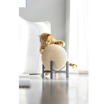 Chat qui griffe une balle à griffer sur un support.