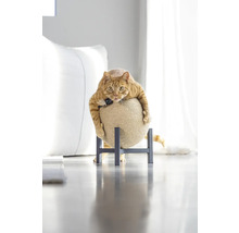 Chat se reposant sur une balle à gratter pour chat avec support