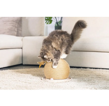 Chat jouant avec une balle à gratter sur un tapis devant un canapé