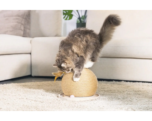 Chat jouant avec une balle à gratter sur un tapis devant un canapé