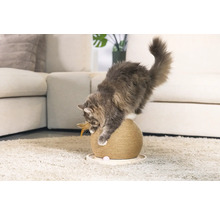 Chat jouant avec une balle à gratter dans un salon.